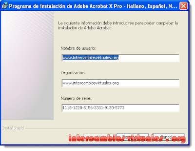 acrobat professional 10.0 win aoo license ie download
